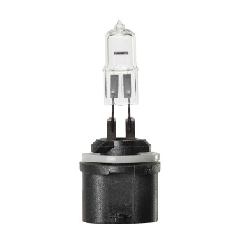 PG13 Bulb 885