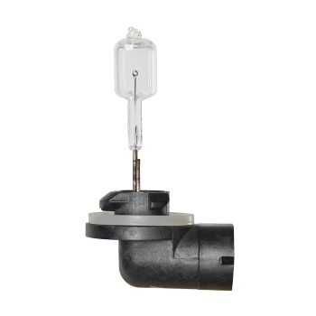 PG13J Bulb 894