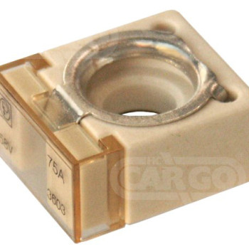 Compact Fuse 75 Amp 192539