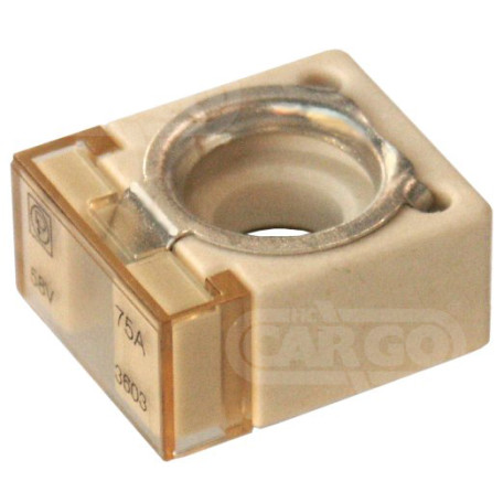 Compact Fuse 75 Amp 192539