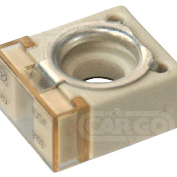 Compact Fuse 100 Amp 192540