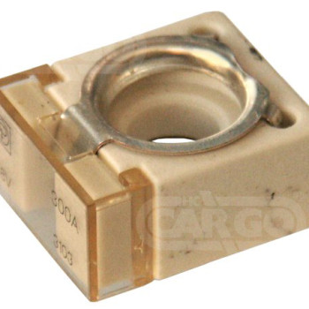 Compact Fuse 300 Amp 192546