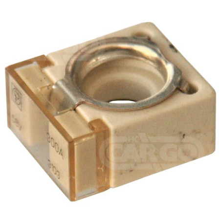 Compact Fuse 300 Amp 192546
