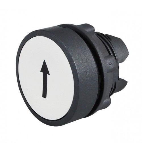 Flush Push Button Up  065731