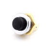 Push Button Switch PBS021010 Push Button Switch PBS021010