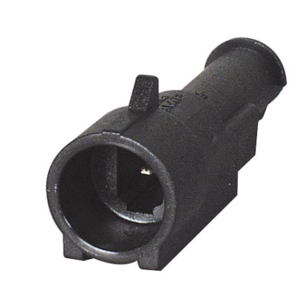 1WSP image