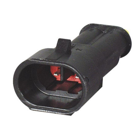 2WSP image